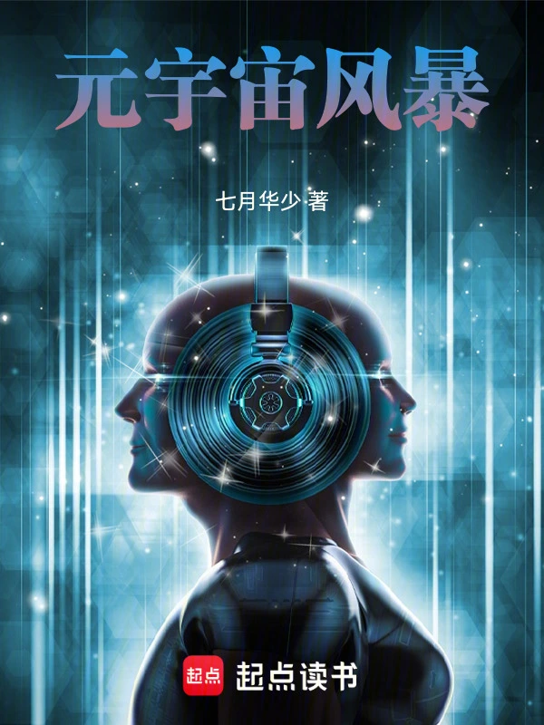 元宇宙风暴