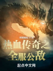 热血传奇之全服公敌在线阅读