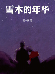 雪南的年华在线阅读