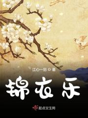 锦衣乐在线阅读