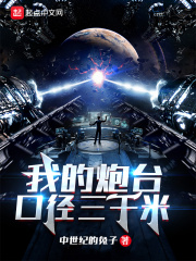 我的炮台口径三千米在线阅读