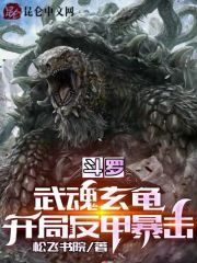 斗罗：武魂玄龟，开局反甲暴击在线阅读