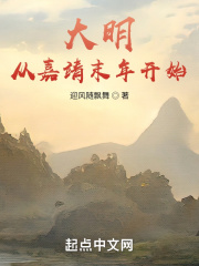 大明：从嘉靖末年开始在线阅读