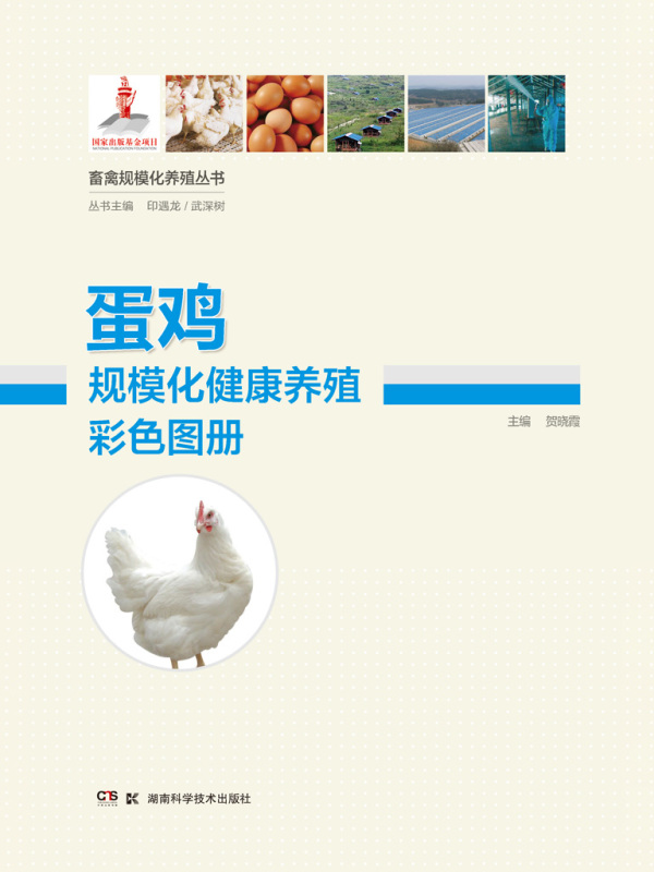 蛋鸡规模化健康养殖彩色图册