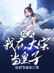 综武：我在大宋当皇子在线阅读