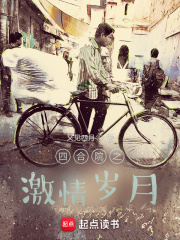 四合院之激情岁月在线阅读
