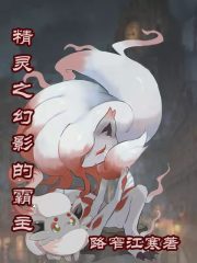 精灵之幻影的霸主在线阅读