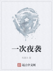 一次夜袭在线阅读