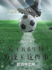 关于我重生成为球王这件事在线阅读