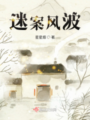 迷案风波在线阅读