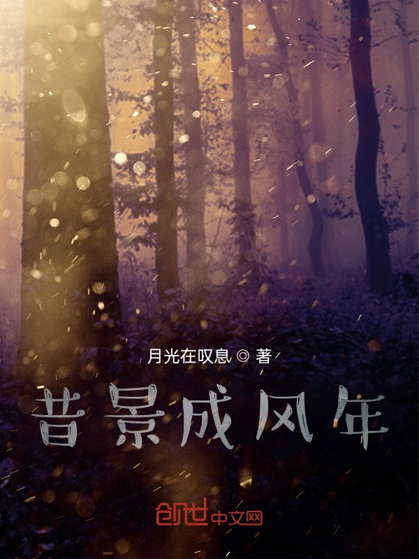 昔景成风年
