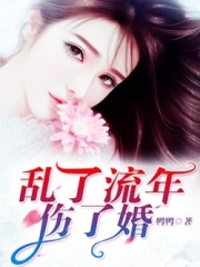 乱了流年伤了婚