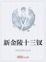 新金陵十三钗在线阅读