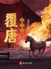 覆唐873年在线阅读