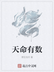 天命有数在线阅读