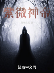 紫微神帝在线阅读