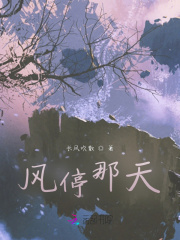 风停那天