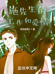 施先生的工作和爱情在线阅读