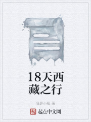 18天西藏之行在线阅读