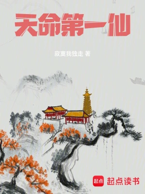 《天命第一仙》（校对全本）作者：寂寞我独走【TXT】