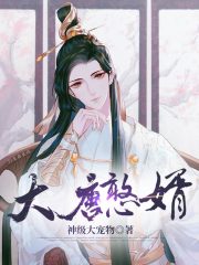 大唐憨婿在线阅读