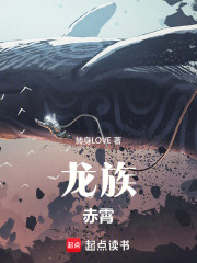 龙族：赤霄在线阅读