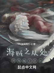 海贼之从处刑海贼王开始