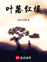 叶落红楼封面
