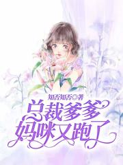 总裁爹爹，妈咪又跑了在线阅读