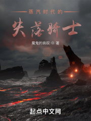 蒸汽时代的失落骑士在线阅读