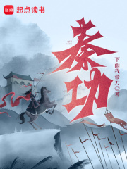 秦功在线阅读