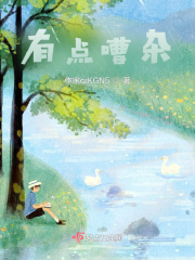 有点嘈杂在线阅读