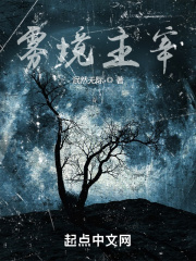 雾境主宰在线阅读