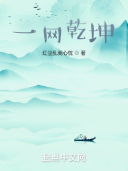 一网乾坤在线阅读