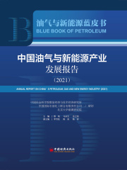 中国油气及新能源产业发展报告（2021）