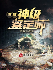 盗墓：神级鉴定师在线阅读