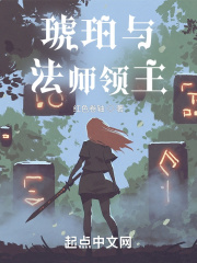 琥珀与法师领主在线阅读