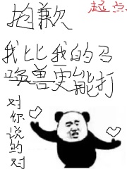 抱歉，我比我的召唤兽更能打