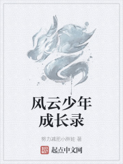 风云少年成长录