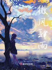 微风肆雨在线阅读