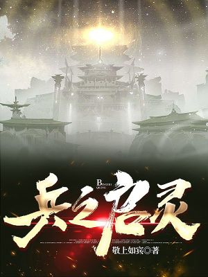 兵之启灵在线阅读