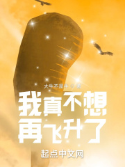 我真不想再飞升了