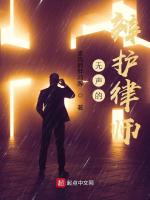 无声的辩护律师在线阅读