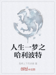 人生一梦之哈利波特在线阅读