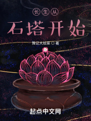 长生从石塔开始在线阅读