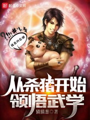 从杀猪开始领悟武学在线阅读