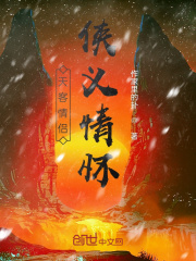 天客情侣：侠义情怀在线阅读