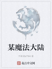 某魔法大陆在线阅读