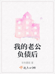 我的老公负债后在线阅读