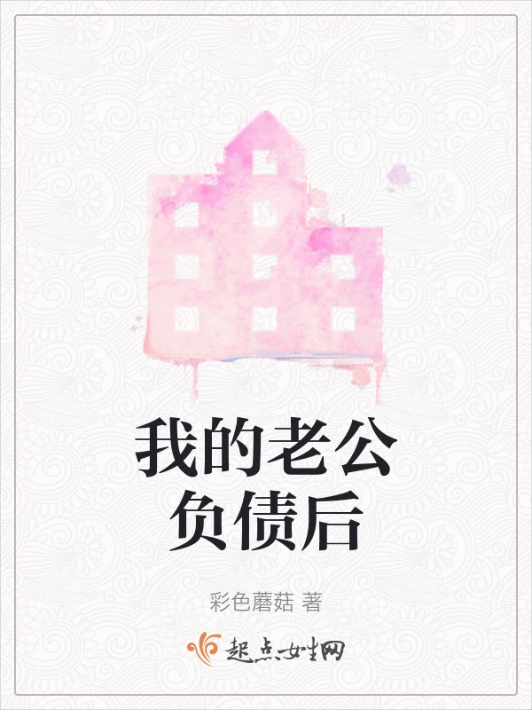 我的老公负债后